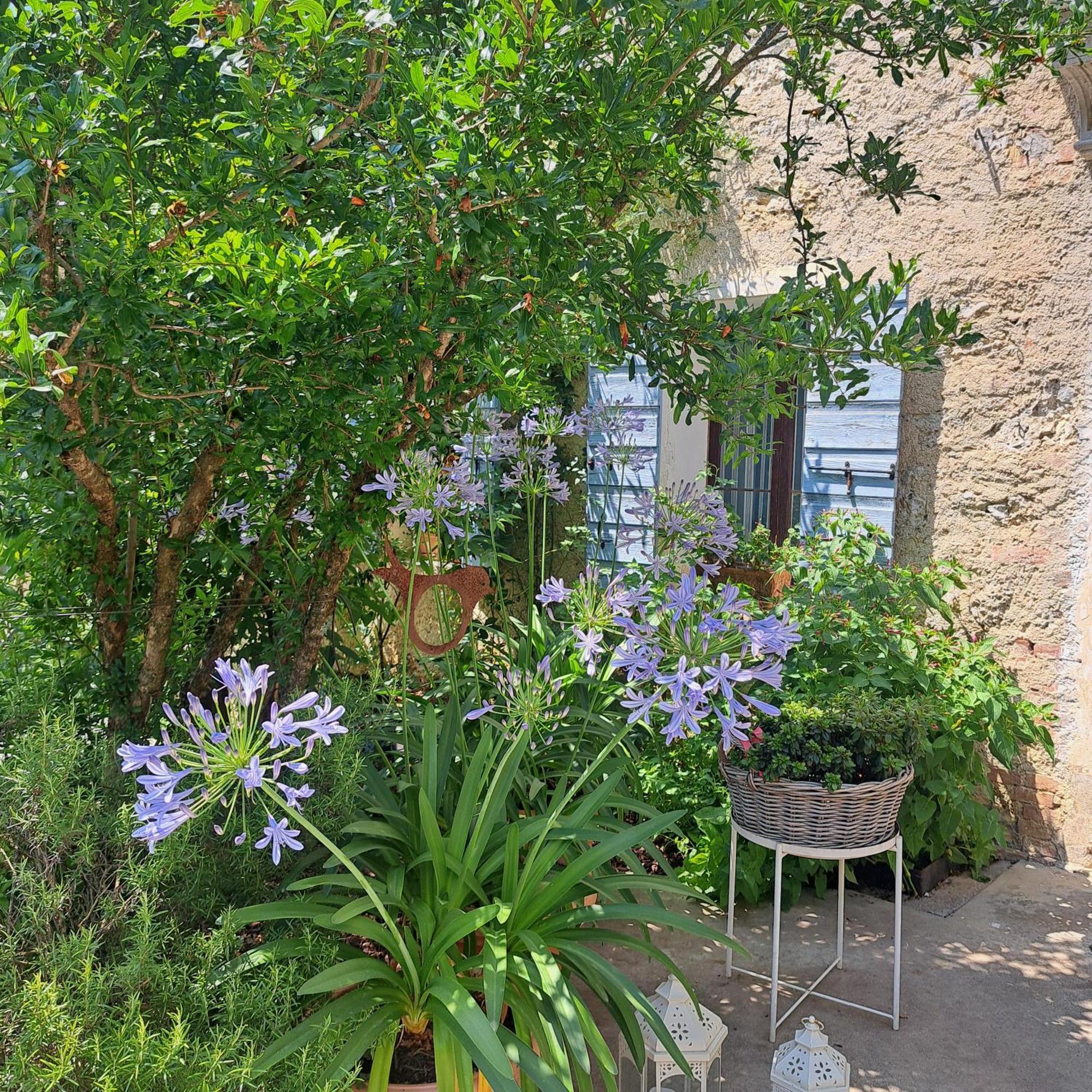 Casadesergio Refrontolo Exteriér fotografie