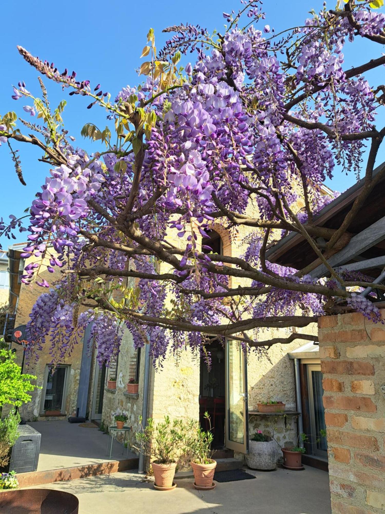Casadesergio Refrontolo Exteriér fotografie