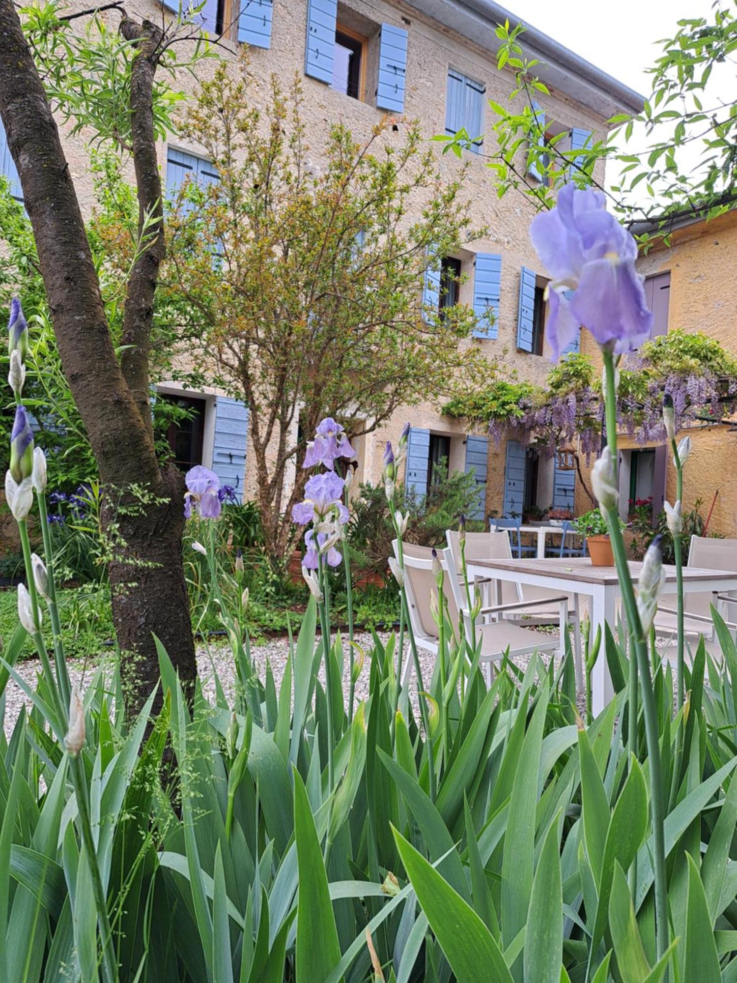 Casadesergio Refrontolo Exteriér fotografie