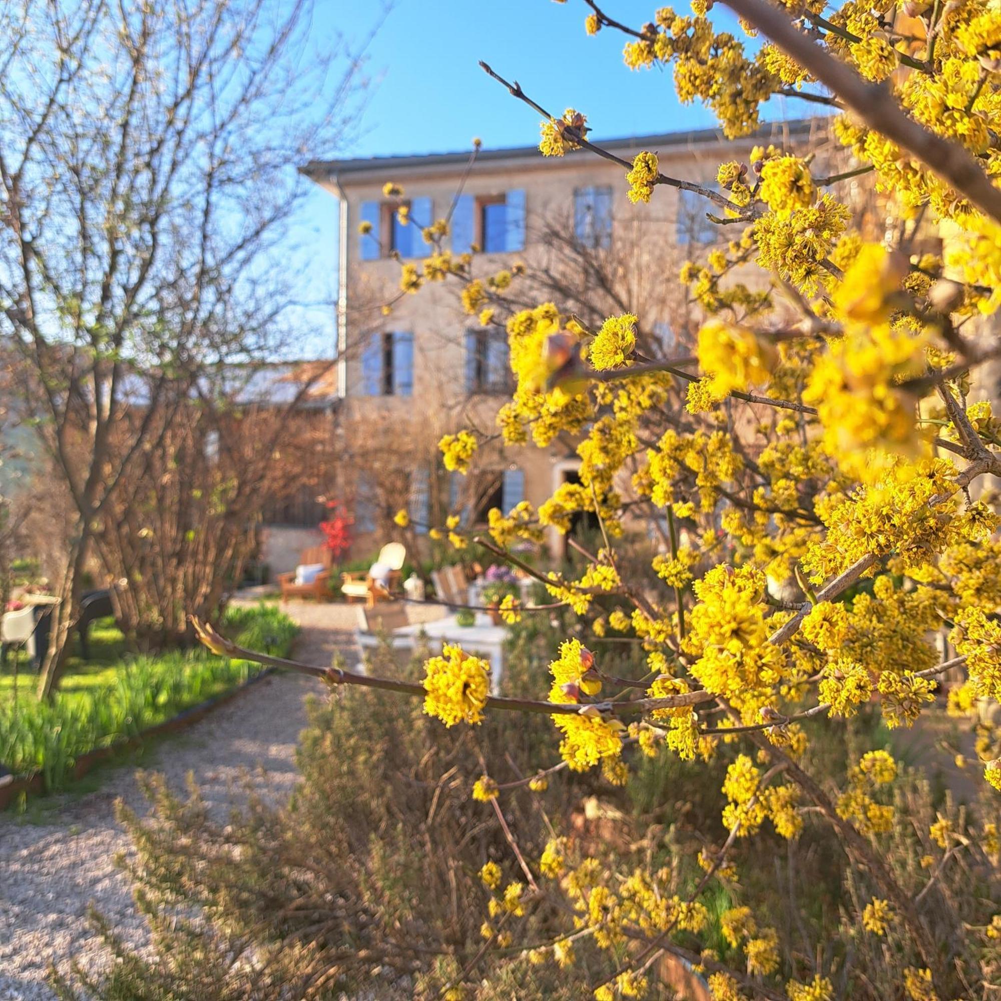 Casadesergio Refrontolo Exteriér fotografie
