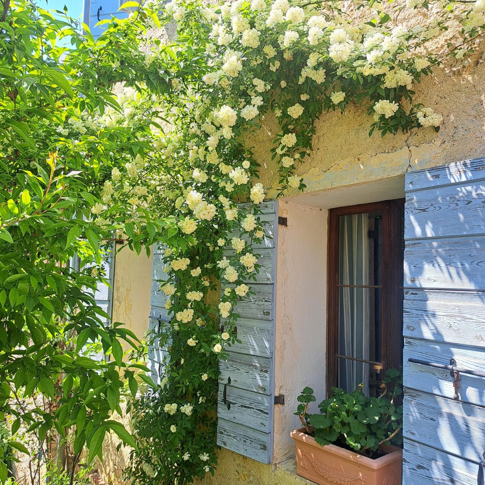 Casadesergio Refrontolo Exteriér fotografie
